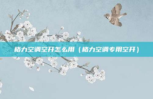 格力空调空开怎么用(格力空调专用空开)