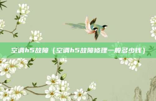 空调h5故障（空调h5故障修理一般多少钱）