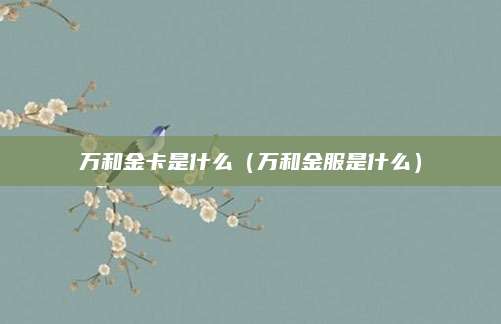 万和金卡是什么(万和金服是什么)