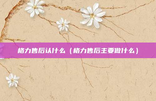 格力售后认什么（格力售后主要做什么）