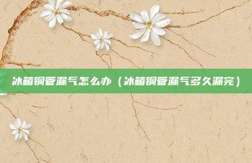 冰箱铜管漏气怎么办（冰箱铜管漏气多久漏完）