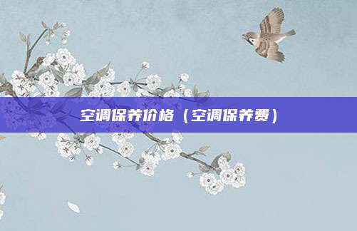 空调保养价格(空调保养费)