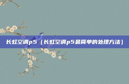 长虹空调p5(长虹空调p5最简单的处理方法)