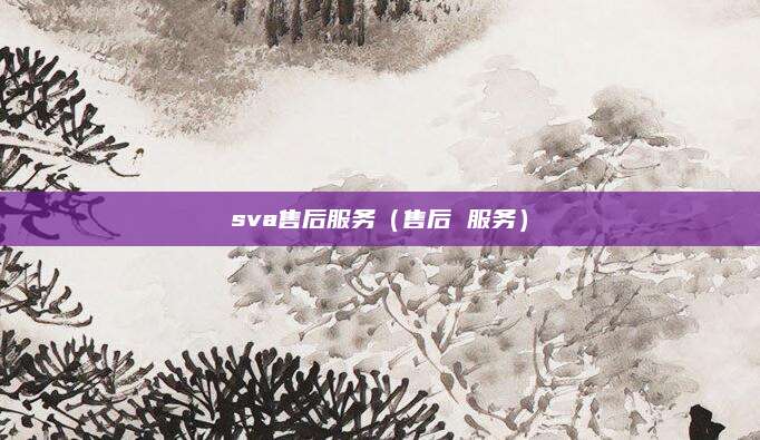 sva售后服务（售后 服务）