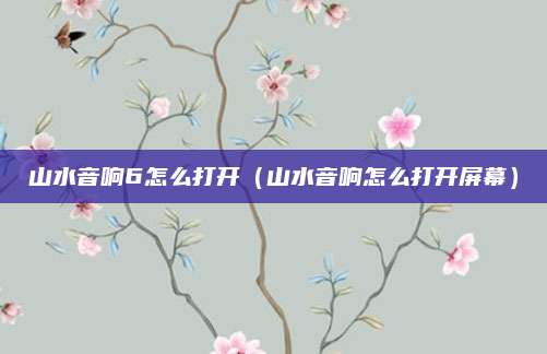 山水音响6怎么打开（山水音响怎么打开屏幕）