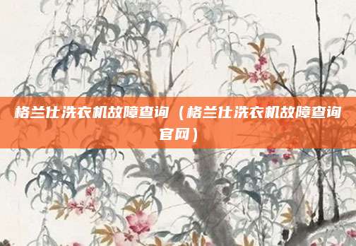 格兰仕洗衣机故障查询(格兰仕洗衣机故障查询官网)