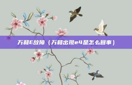 万和E故障（万和出现e4是怎么回事）