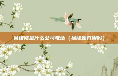 易维修是什么公司电话（易修理有用吗）