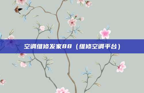 空调维修发家88（维修空调平台）