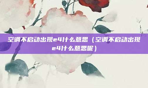 空调不启动出现e4什么意思（空调不启动出现e4什么意思呢）