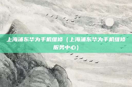 上海浦东华为手机维修（上海浦东华为手机维修服务中心）
