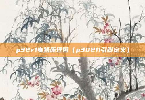 p32r1电路原理图(p30211引脚定义)