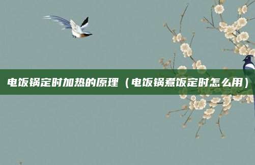 电饭锅定时加热的原理(电饭锅煮饭定时怎么用)