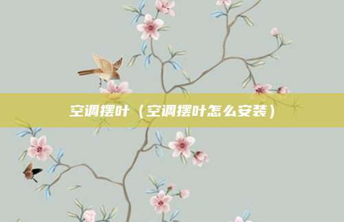 空调摆叶(空调摆叶怎么安装)