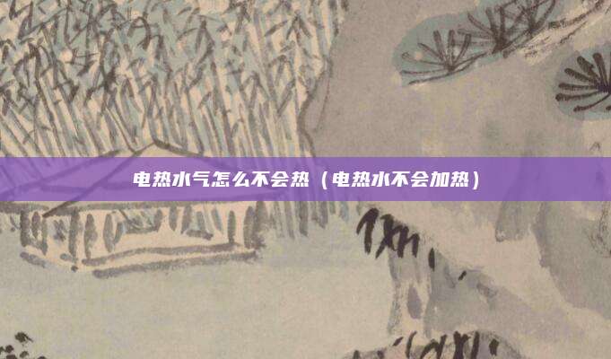 电热水气怎么不会热(电热水不会加热)