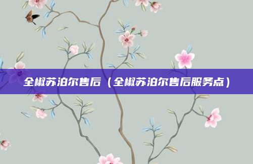 全椒苏泊尔售后(全椒苏泊尔售后服务点)