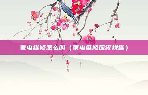 家电维修怎么叫（家电维修应该找谁）