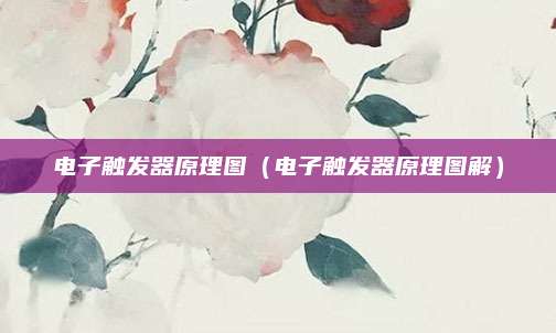 电子触发器原理图（电子触发器原理图解）