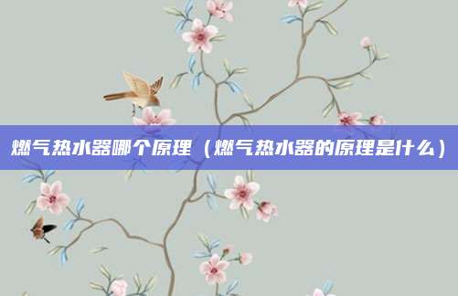 燃气热水器哪个原理（燃气热水器的原理是什么）