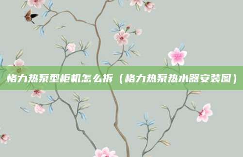 格力热泵型柜机怎么拆（格力热泵热水器安装图）