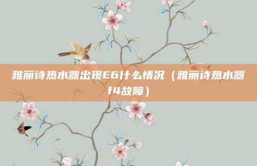 雅丽诗热水器出现E6什么情况(雅丽诗热水器f4故障)