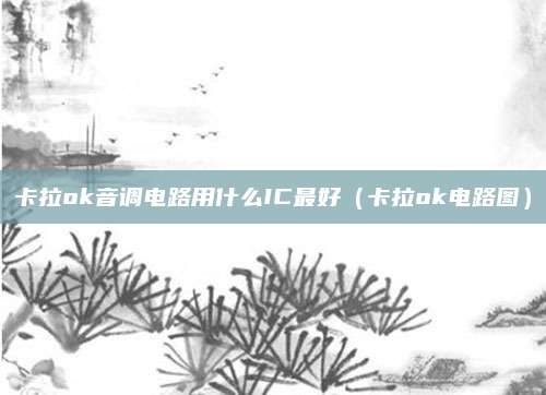 卡拉ok音调电路用什么IC最好（卡拉ok电路图）