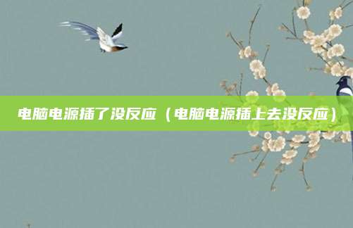 电脑电源插了没反应（电脑电源插上去没反应）