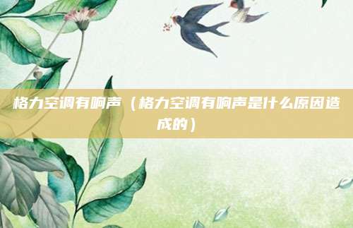 格力空调有响声（格力空调有响声是什么原因造成的）