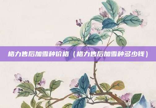 格力售后加雪种价格(格力售后加雪种多少钱)