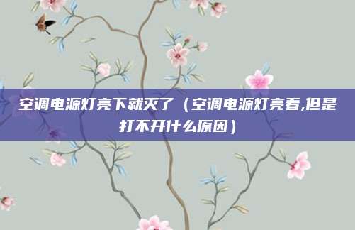 空调电源灯亮下就灭了（空调电源灯亮着,但是打不开什么原因）