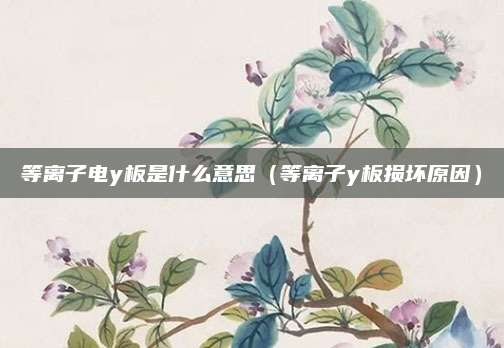 等离子电y板是什么意思（等离子y板损坏原因）