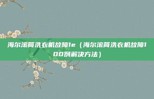 海尔滚筒洗衣机故障1e（海尔滚筒洗衣机故障100例解决方法）
