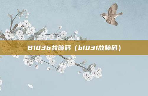 B1036故障码(b1031故障码)