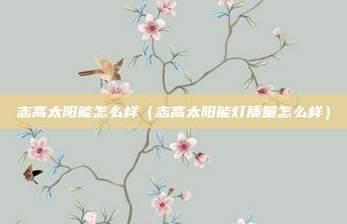 志高太阳能怎么样（志高太阳能灯质量怎么样）