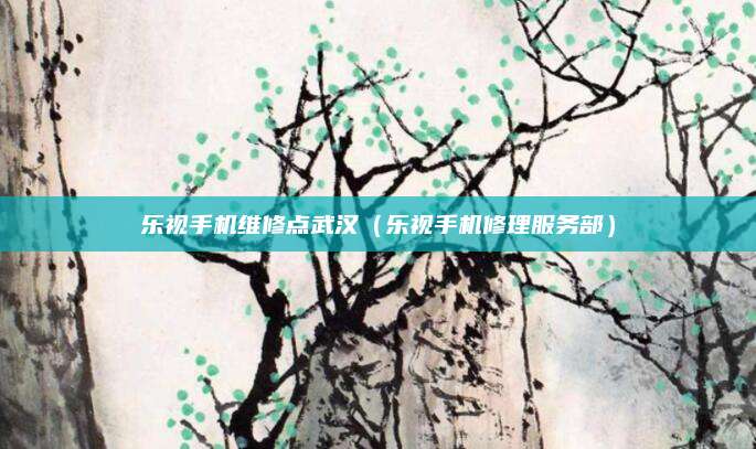 乐视手机维修点武汉（乐视手机修理服务部）