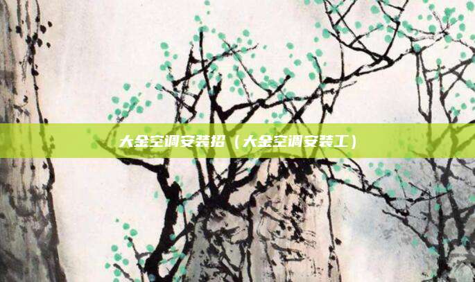 大金空调安装招(大金空调安装工)