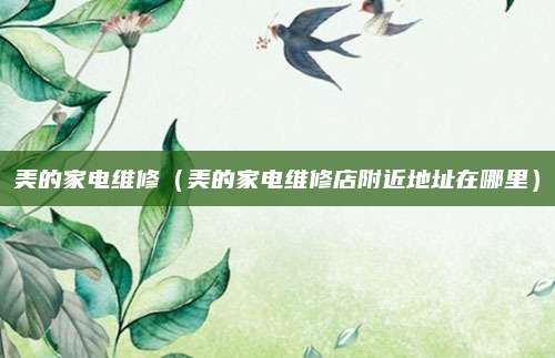 美的家电维修（美的家电维修店附近地址在哪里）