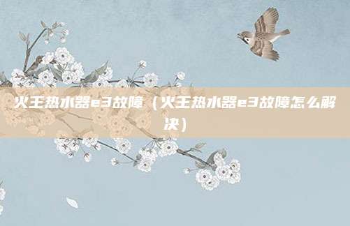 火王热水器e3故障（火王热水器e3故障怎么解决）