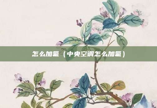 怎么加氟（中央空调怎么加氟）