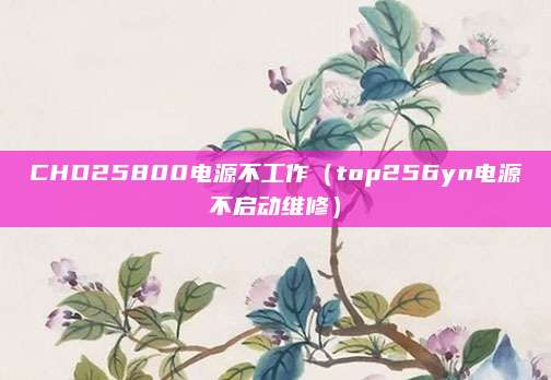 CHD25800电源不工作（top256yn电源不启动维修）