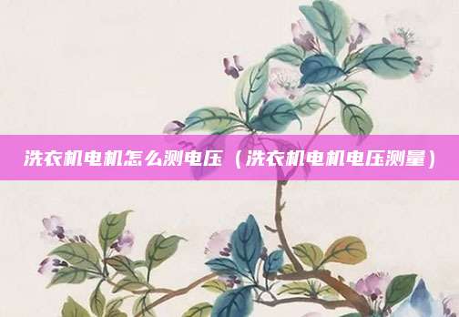 洗衣机电机怎么测电压（洗衣机电机电压测量）