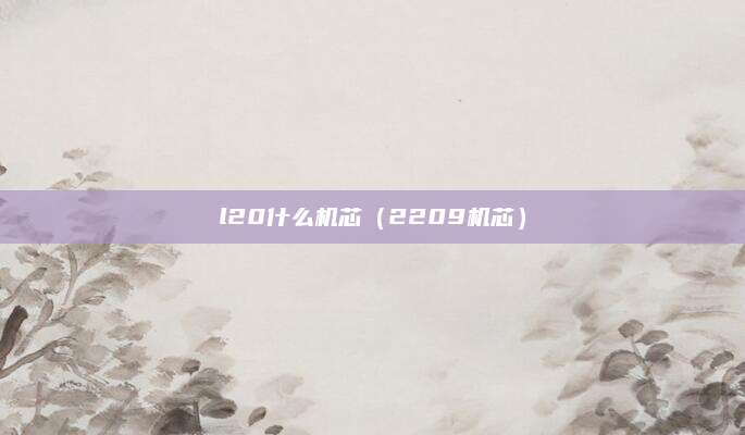 l20什么机芯（2209机芯）