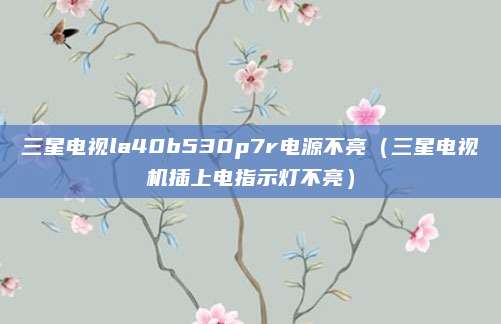 三星电视la40b530p7r电源不亮（三星电视机插上电指示灯不亮）