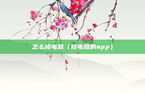 怎么修电器（修电器的app）