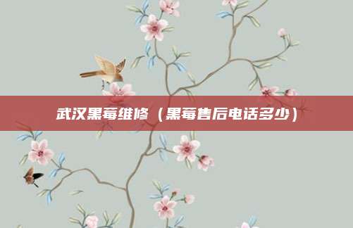 武汉黑莓维修(黑莓售后电话多少)