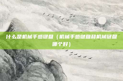什么是机械手感键盘（机械手感键盘和机械键盘哪个好）