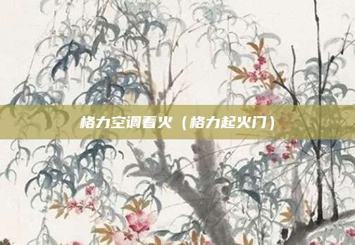 格力空调着火（格力起火门）
