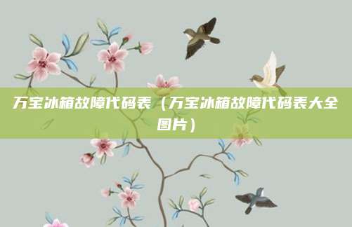 万宝冰箱故障代码表(万宝冰箱故障代码表大全图片)