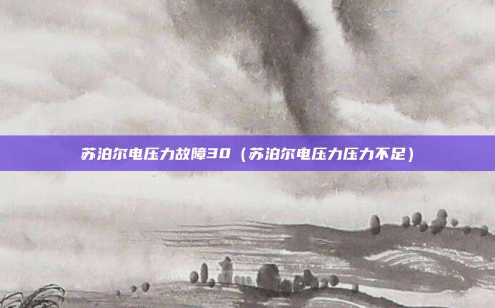 苏泊尔电压力故障30（苏泊尔电压力压力不足）