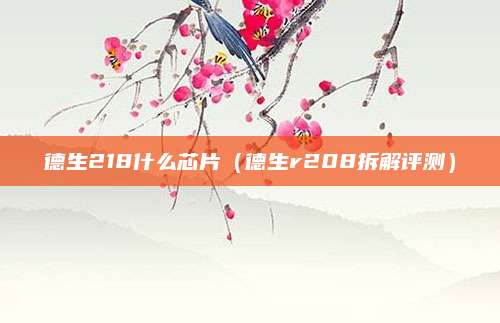 德生218什么芯片(德生r208拆解评测)